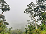 Ascending Mt Ugo 10