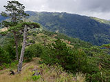 Ascending Mt Ugo 30