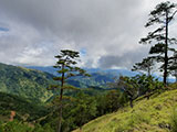 Ascending Mt Ugo 37