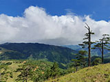 Ascending Mt Ugo 39