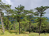 Ascending Mt Ugo 45