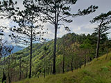 Descending Mt Ugo 5