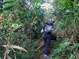 Ascending Mt Arayat North Peak 10