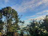 Ascending Mt Arayat North Peak 6