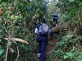 Ascending Mt Arayat North Peak 9