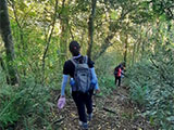 Descending Mt Arayat 1