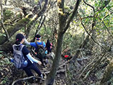 Descending Mt Arayat 2