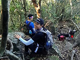 Descending Mt Arayat 3