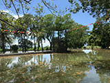 Pililla Rizal Bulawan Floating Restaurant