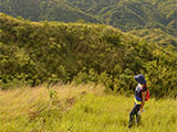 Mt Ayaas Summit View 11