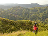 Mt Ayaas Summit View 7