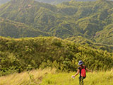 Mt Ayaas Summit View 8