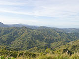 Mt Ayaas Summit View