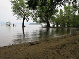 Romblon Overlooking View 2