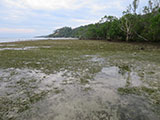 Romblon Overlooking View 4