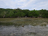 Romblon Overlooking View 6