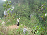 Sagada Echo Valley 1