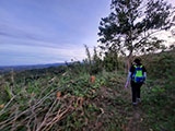 Ascent to Mt Balagbag 6