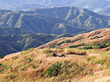 Mt Balagbag Summit 18