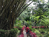 Davao Philippine Eagle Center 1