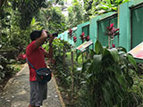 Davao Philippine Eagle Center 2