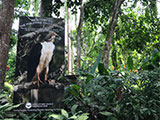 Davao Philippine Eagle Center