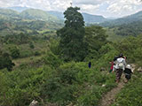 Himamaylan Negros Occidental