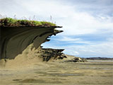 Biri Island Rock Formation 13