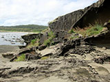 Biri Island Rock Formation 23