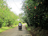 Northern Samar Habal Habal