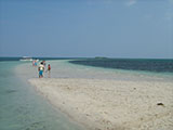 Virgin Island Bohol 2