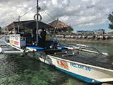 Mactan Cebu Diving 7