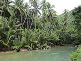 View While Trekking to Kawasan Falls